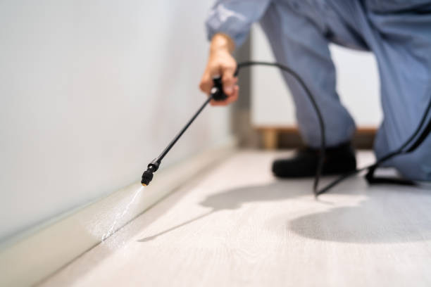 Licensed Mosquito Control service in Ettrick, VA - Show Me Pest Control