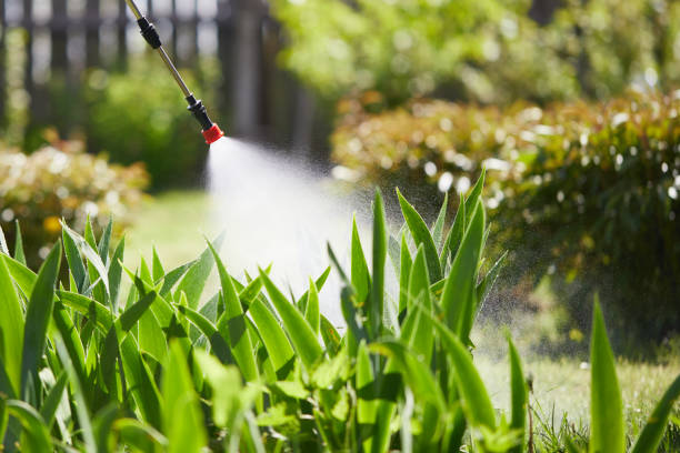 24/7 Emergency Mosquito Control experts in Ettrick, VA