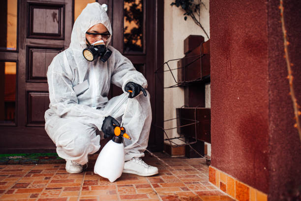 Reliable Mosquito Control contractor in Ettrick, VA by Show Me Pest Control